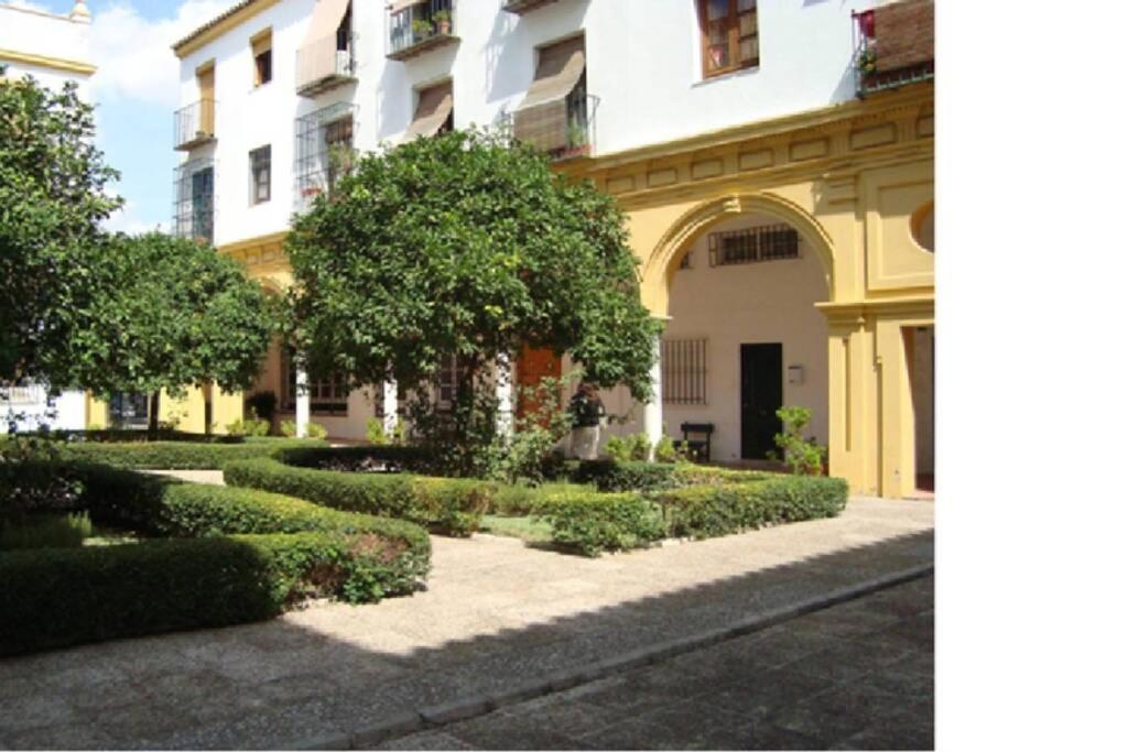 Centrico Y Amplio Apartamento 100% Equipado Херес-де-ла-Фронтера Екстер'єр фото
